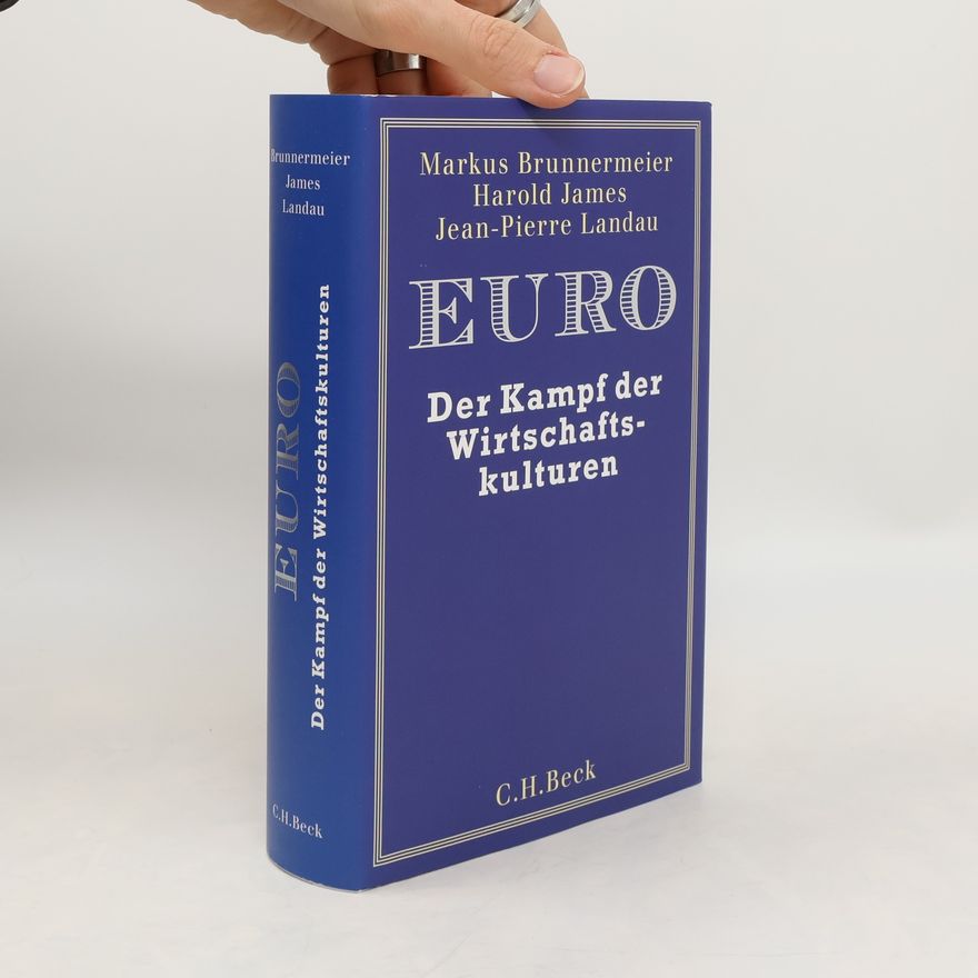 Markus Brunnermeier Euro