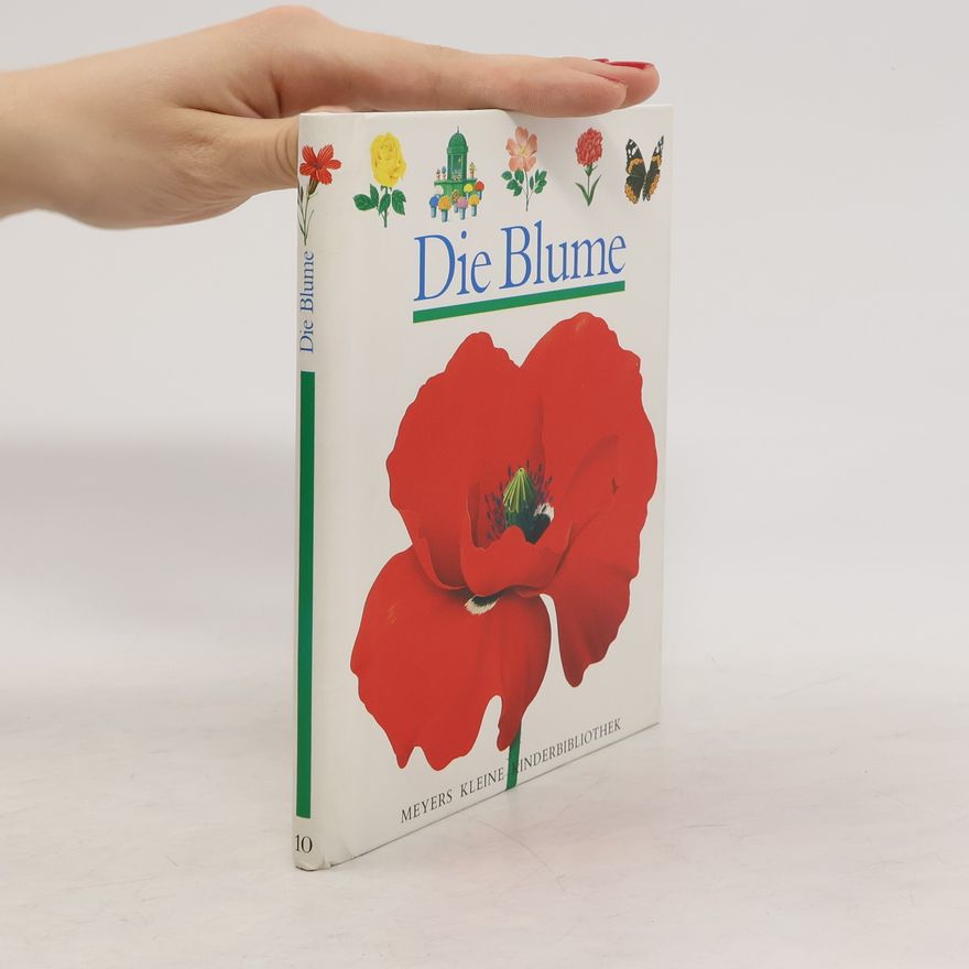 René Mettler Die Blume
