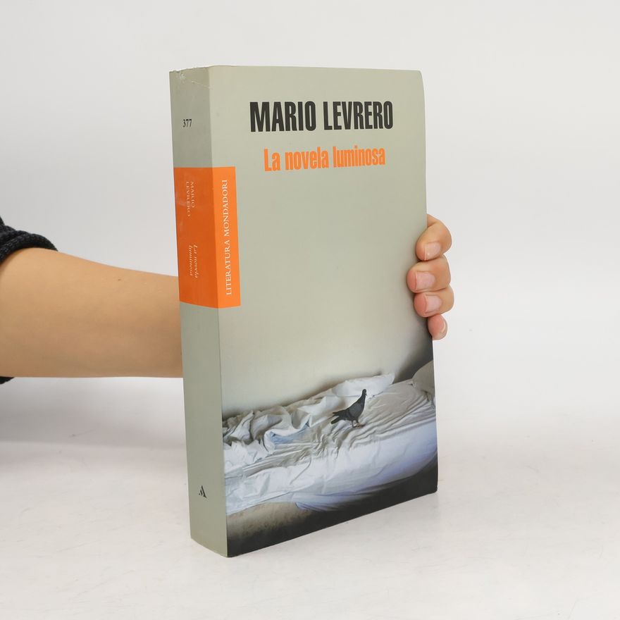 Mario Levrero La novela luminosa