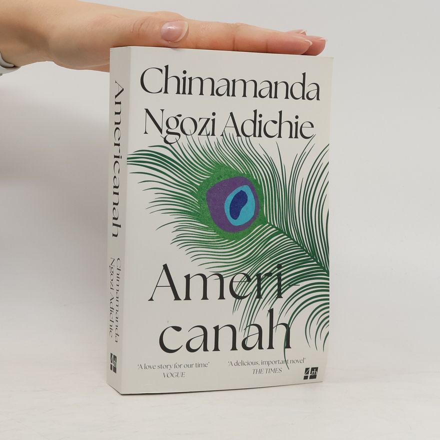 Chimamanda Ngozi Adichie Americanah