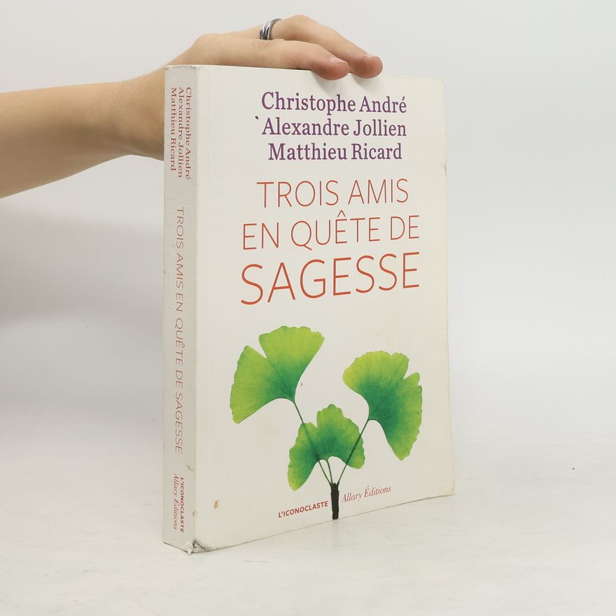 Christophe André Trois Amis en quete de Sagesse