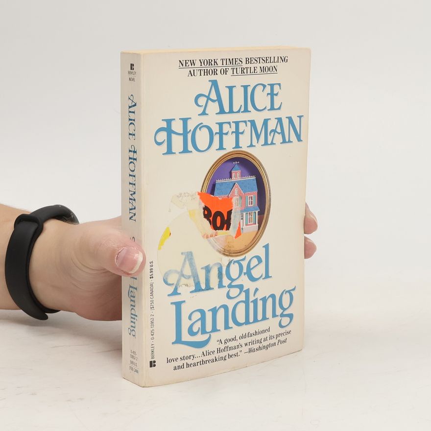 Alice Hoffman Angel Landing