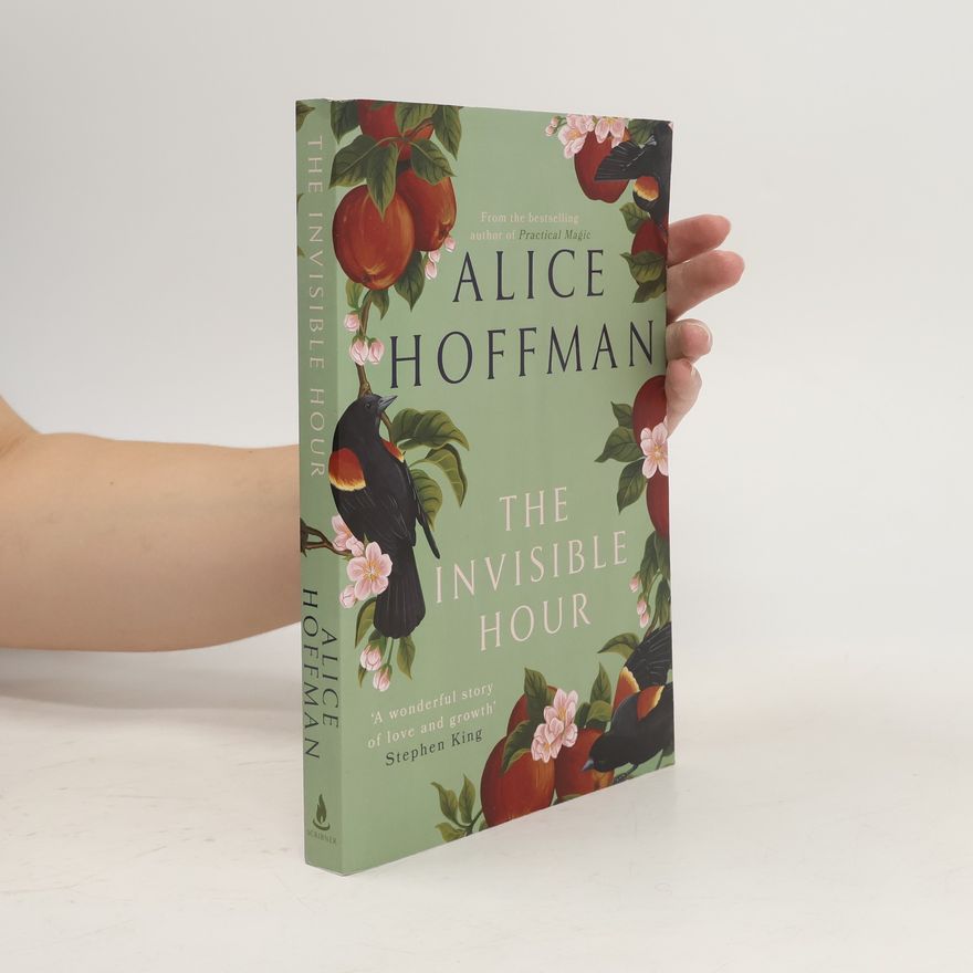 Alice Hoffman The Invisible Hour