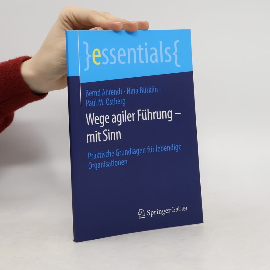 Bernd Ahrendt Wege agiler Führung ¿ mit Sinn