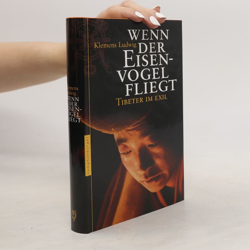 Klemens Ludwig Wenn der Eisenvogel fliegt