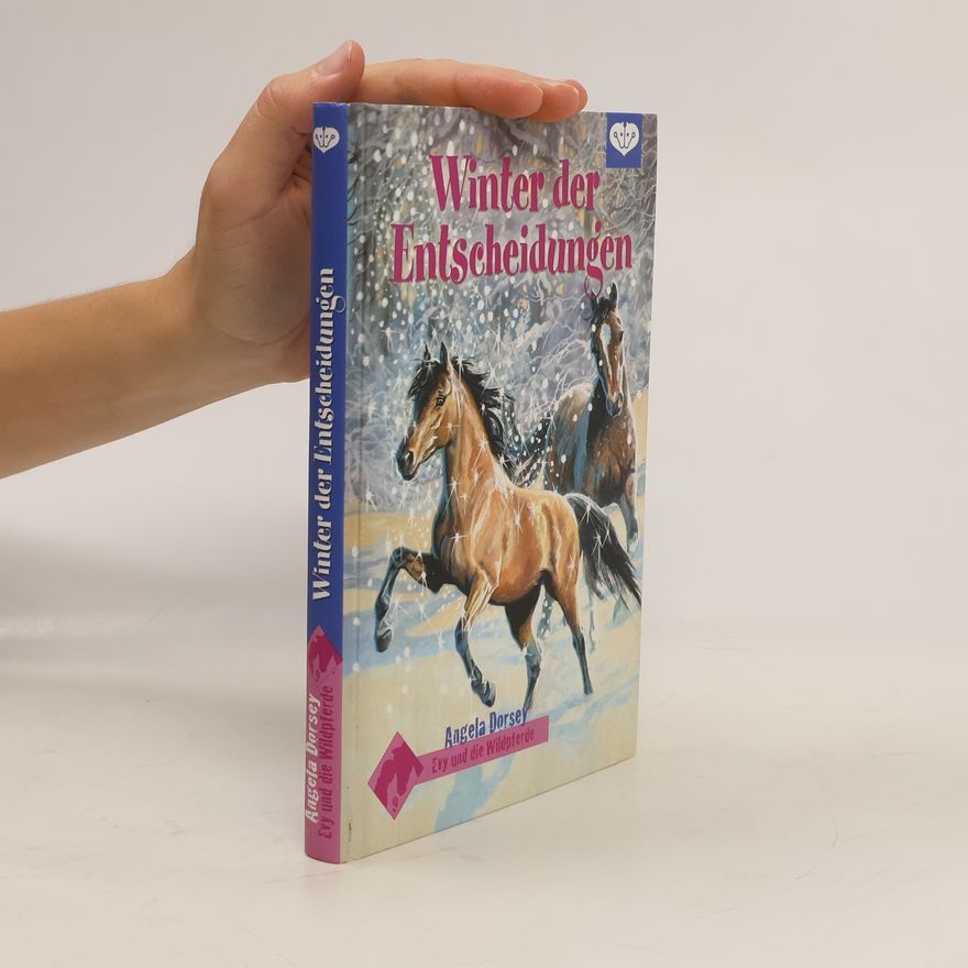Angela Dorsey Winter der Entscheidung