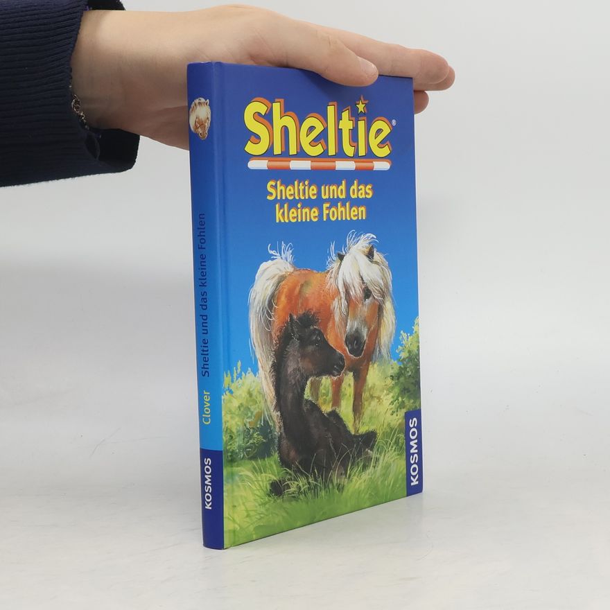 Peter Clover Sheltie und das kleine Fohlen