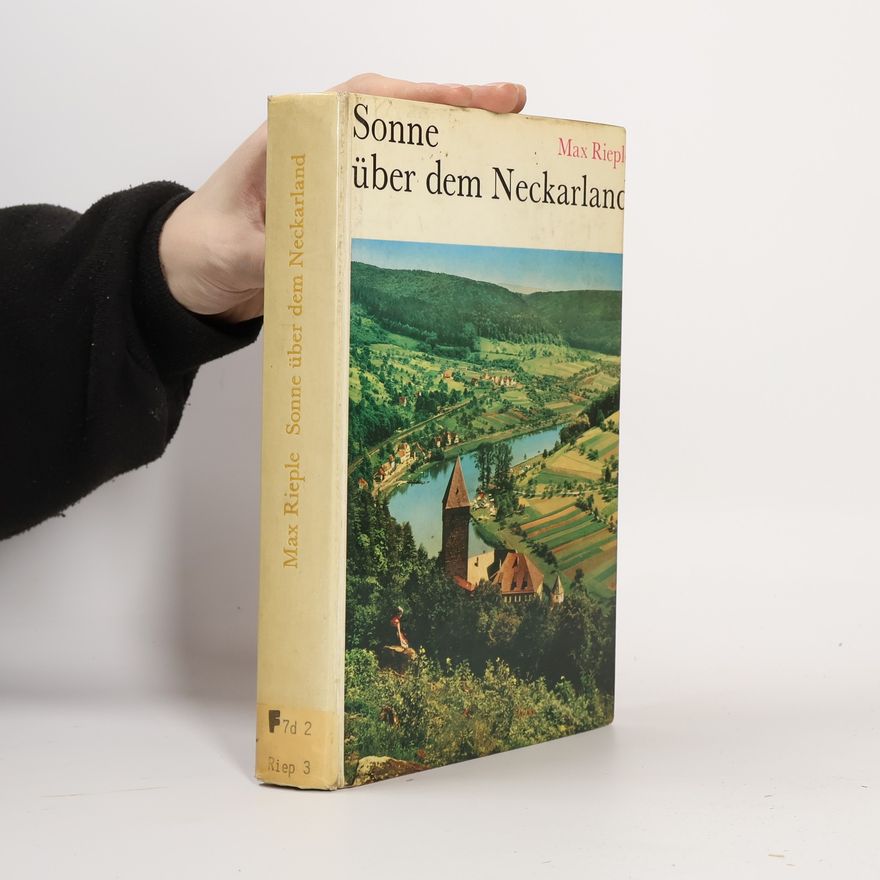 Max Rieple Sonne über dem Neckarland