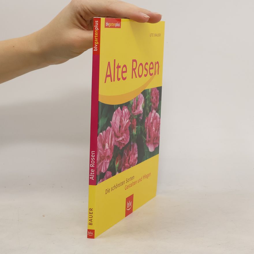 Ute Bauer Alte Rosen