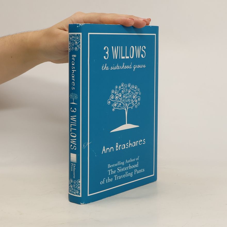 Ann Brashares 3 Willows