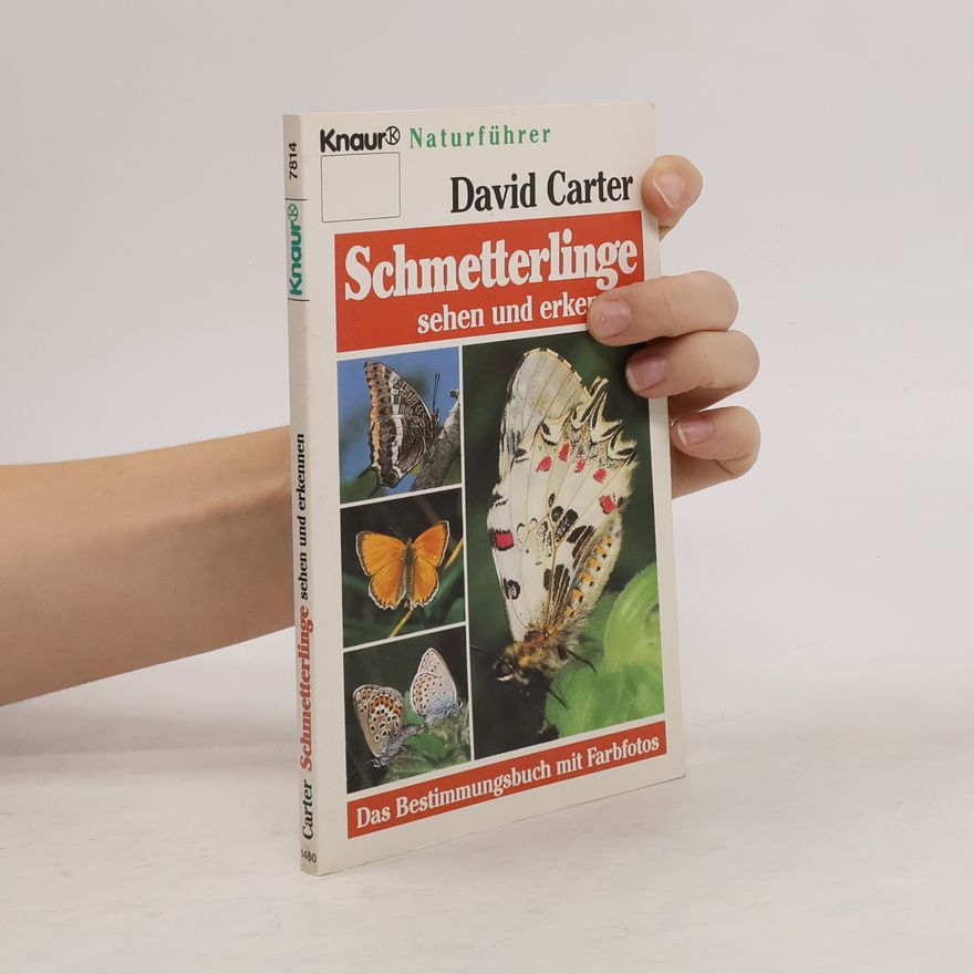 David Carter Schmetterlinge sehen und erkennen