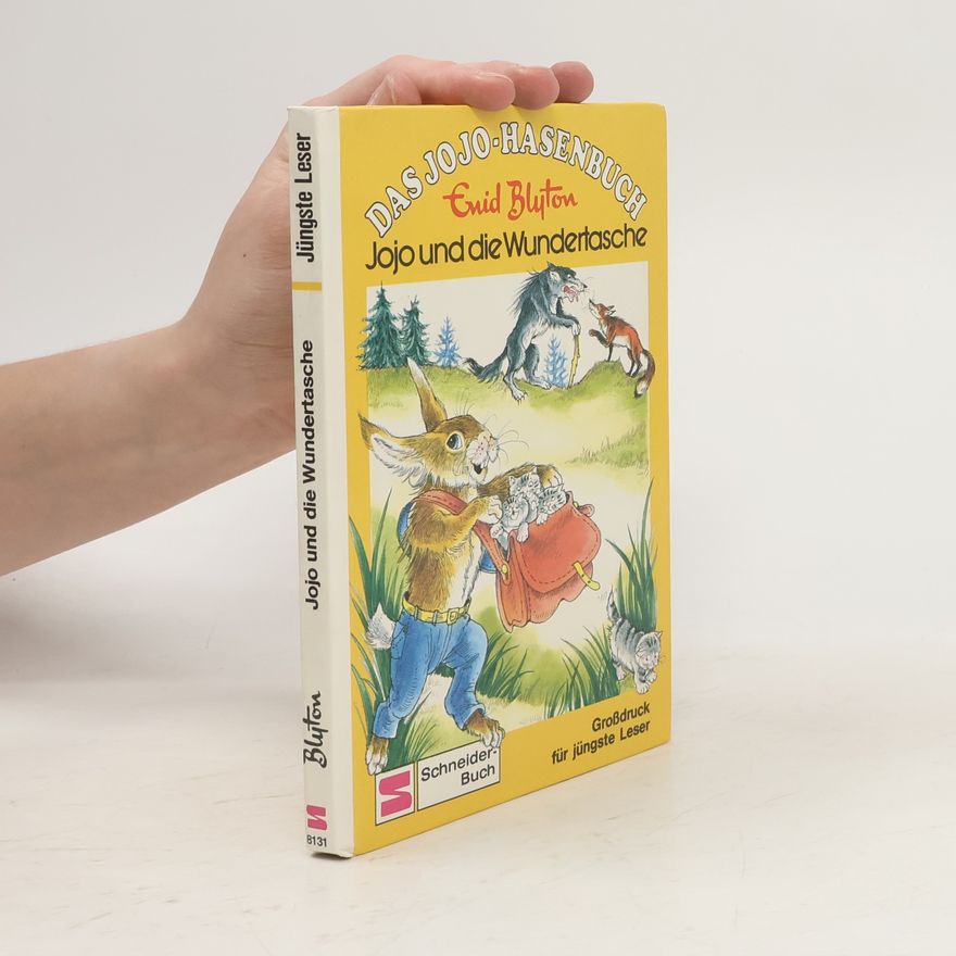 Enid Blyton Jojo und die Wundertasche
