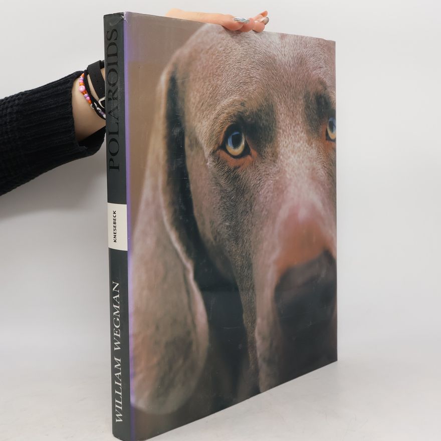 William Wegman Polaroids