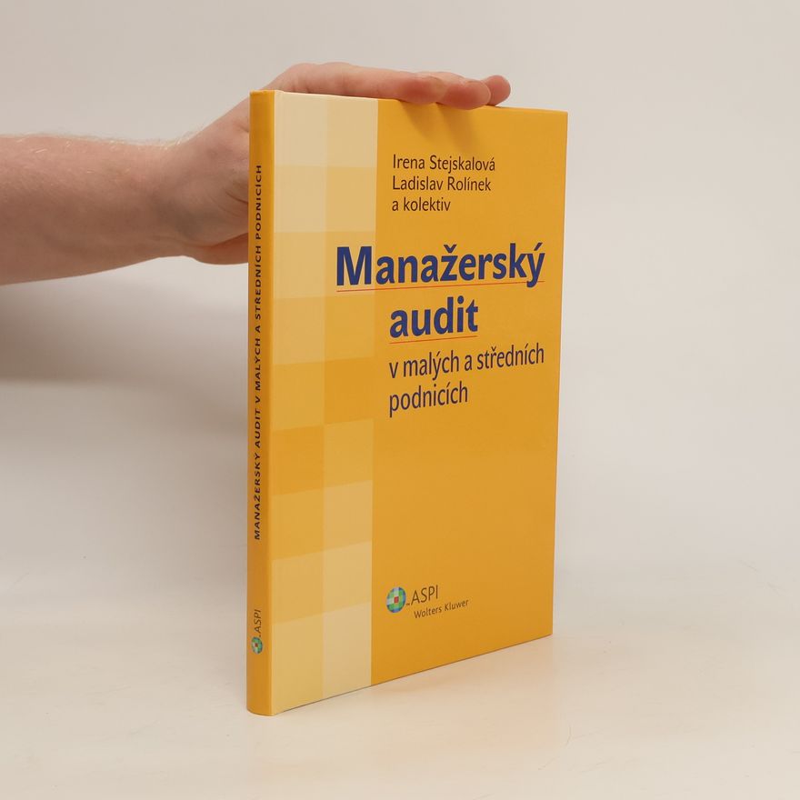 Irena Stejskalová Manažerský audit v malých a středních podnicích
