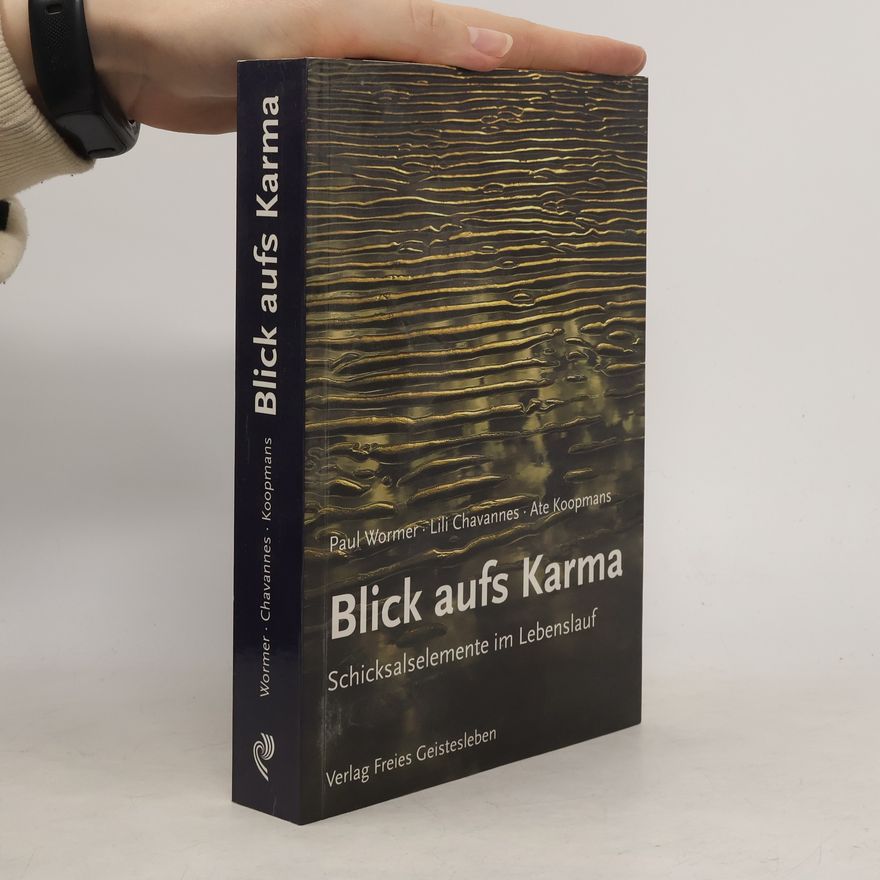 Paul Wormer Blick aufs Karma