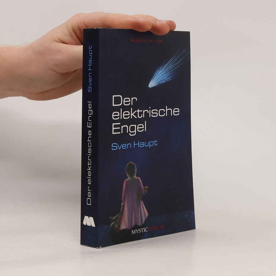Sven Haupt Der elektrische Engel