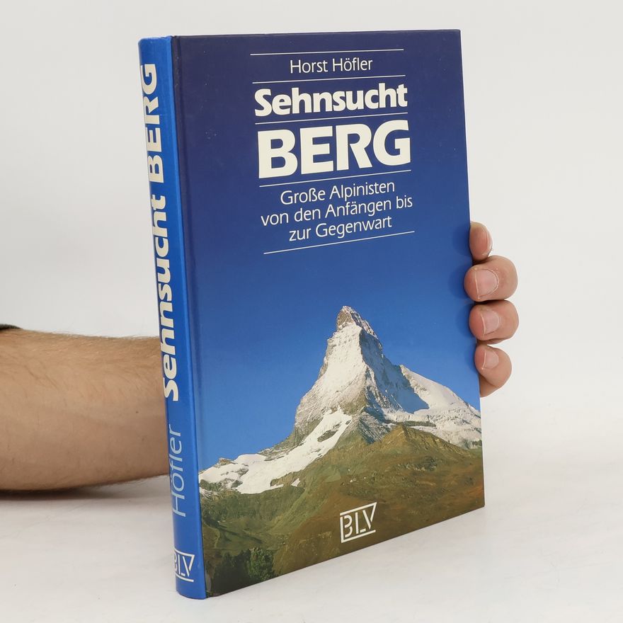 Horst Höfler Sehnsucht Berg