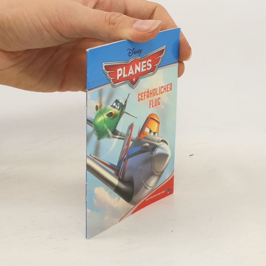 Autorenkollektiv Gefährlicher Flug. Planes