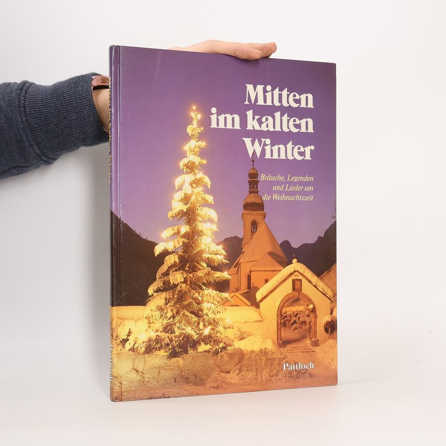 Kolektiv autorů Mitten im kalten Winter