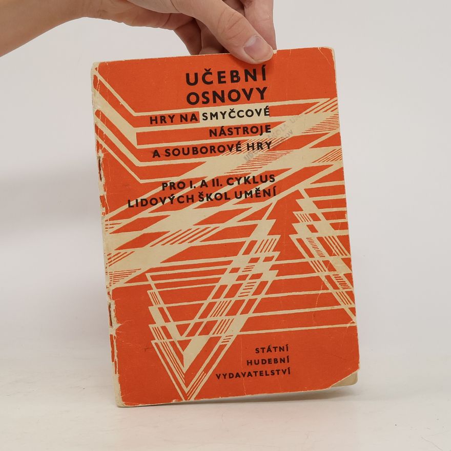 Autorenkollektiv Učební osnovy hry na smyčcové nástroje a souborové hry