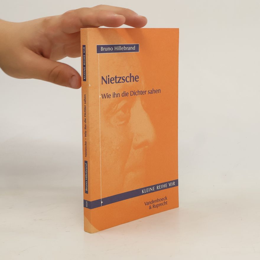 Bruno Hillebrand Nietzsche
