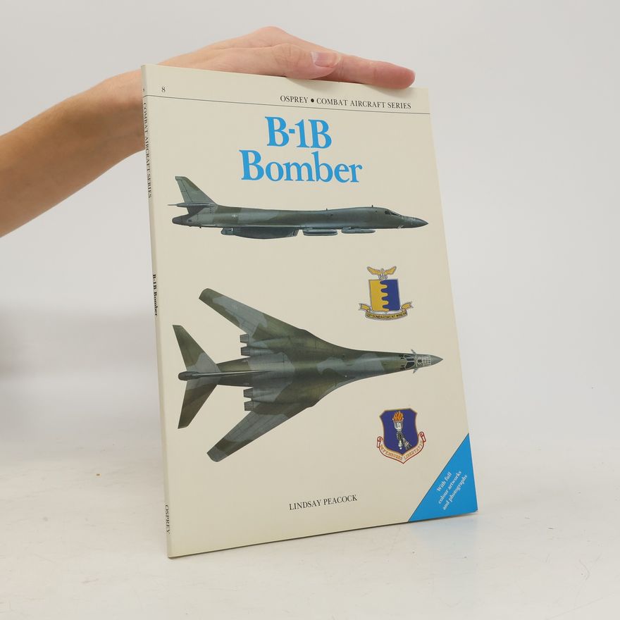 Lindsay Peacock Combat Aircraft Series - 8: B-1B Bomber
