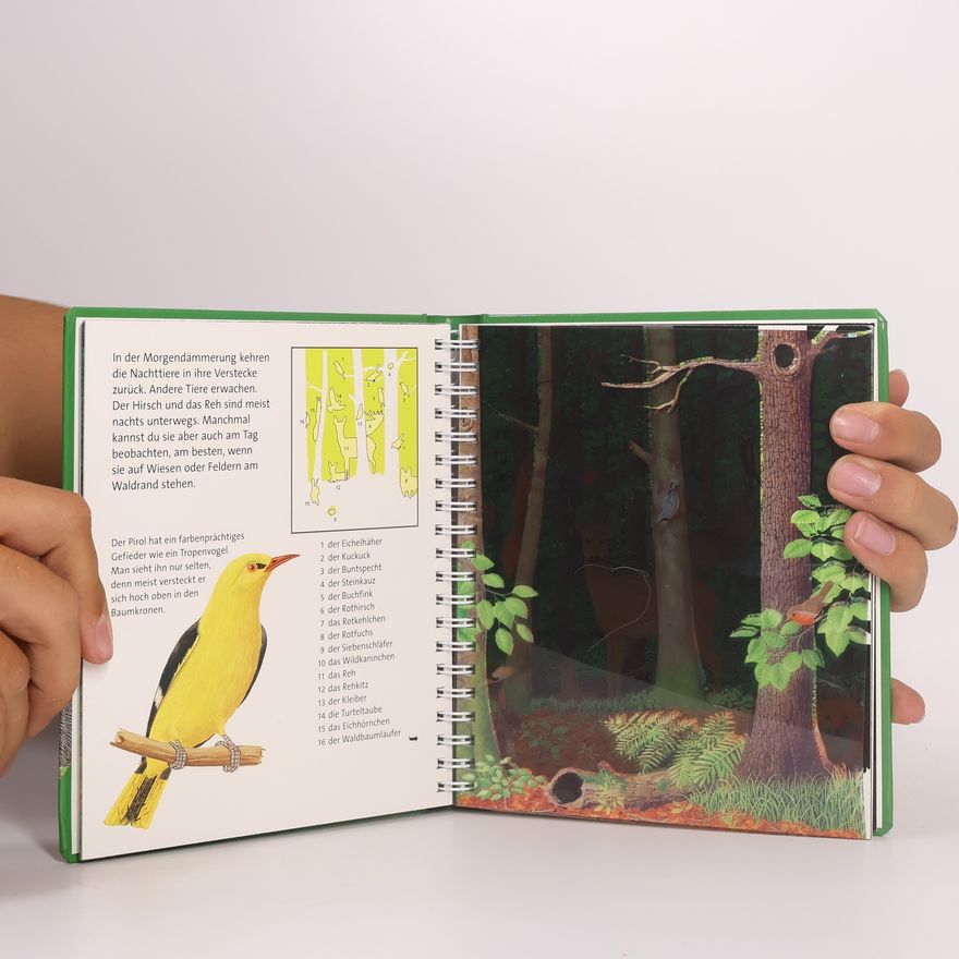 Autorenkollektiv Tief im Wald