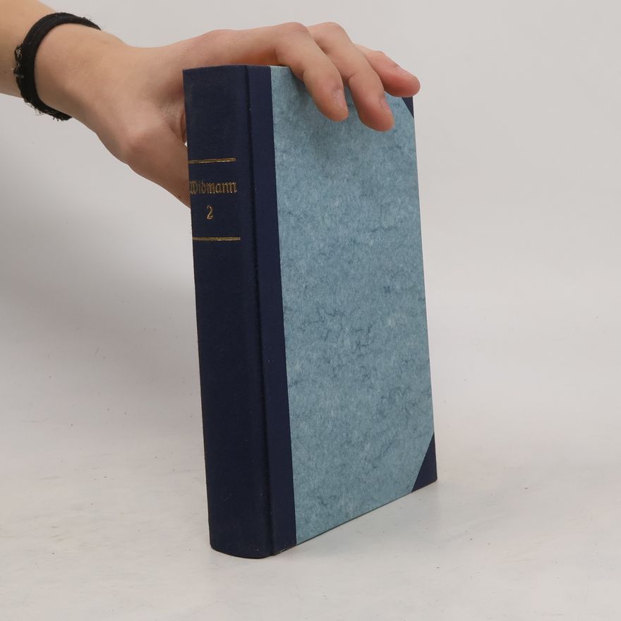 Hans Widmann Geschichte Salzburgs II.