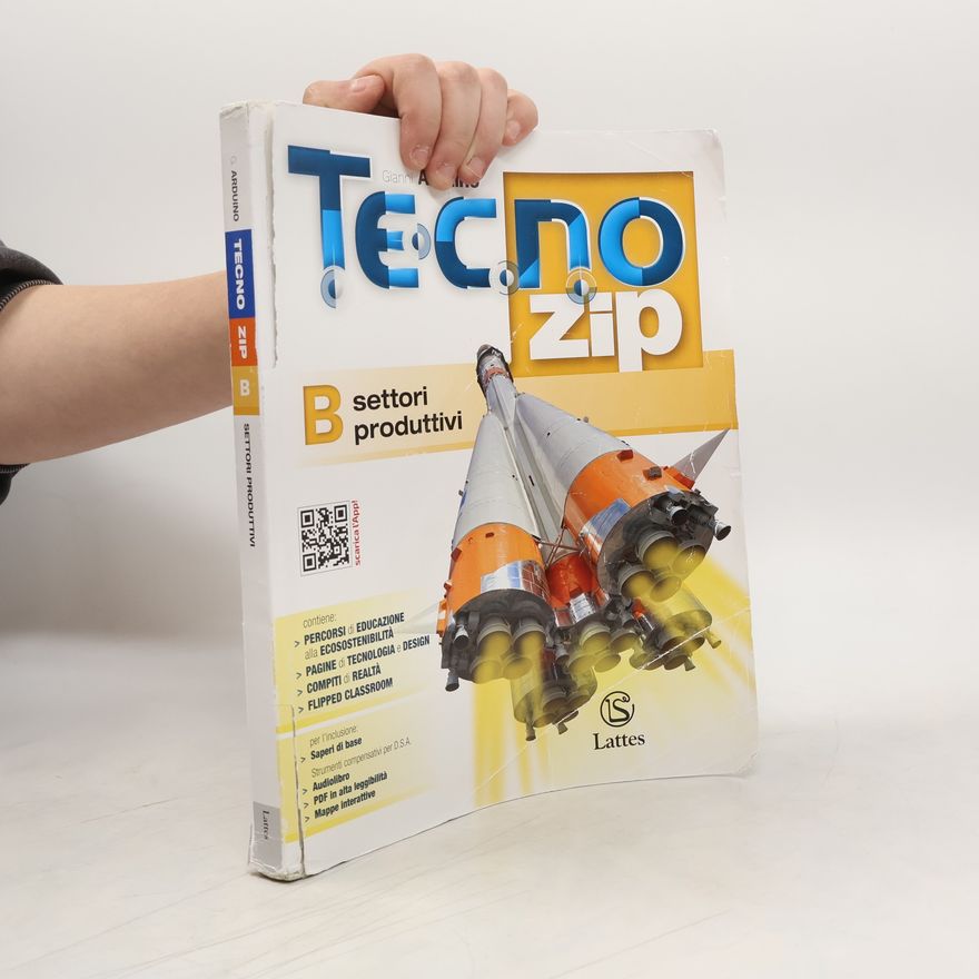 Giovanni Arduino Tecno zip B. Settori produttivi