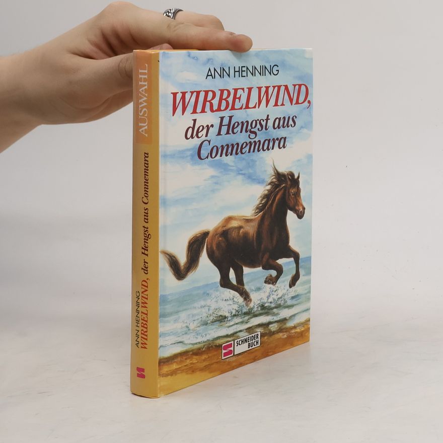 Ann Henning Wirbelwind, der Hengst aus Connemara