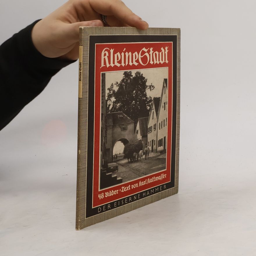 Karl Kaltwasser Kleine Stadt