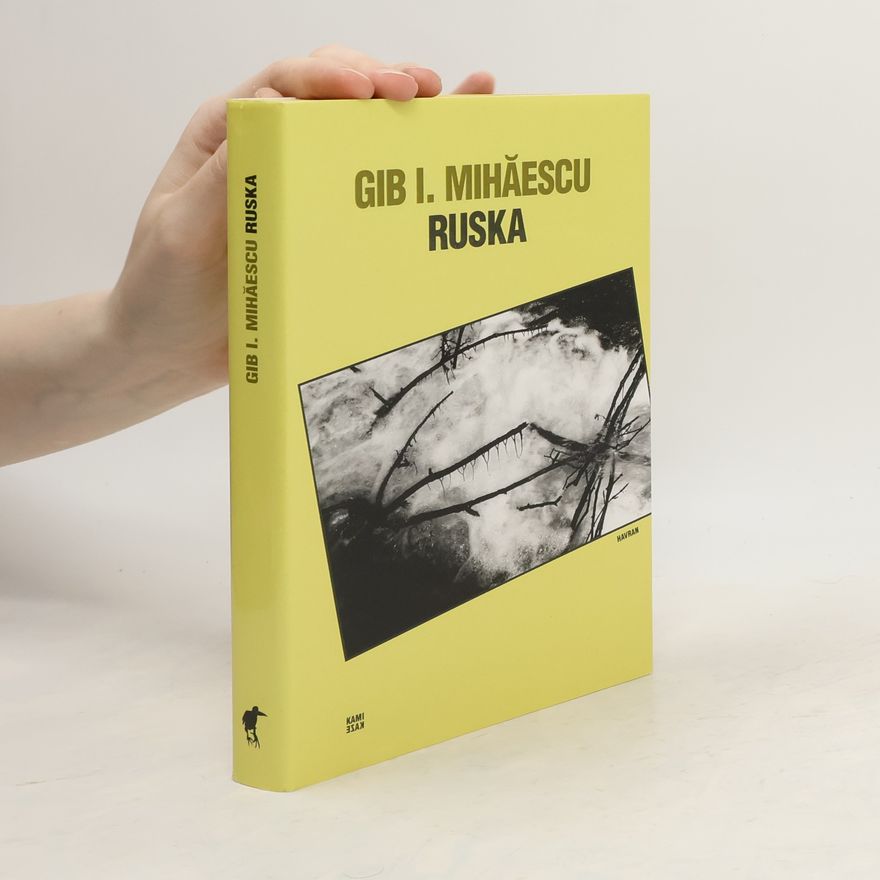Gib Mihăescu Ruska. Strážní stanoviště poručíka Ragaiaca na Dněstru