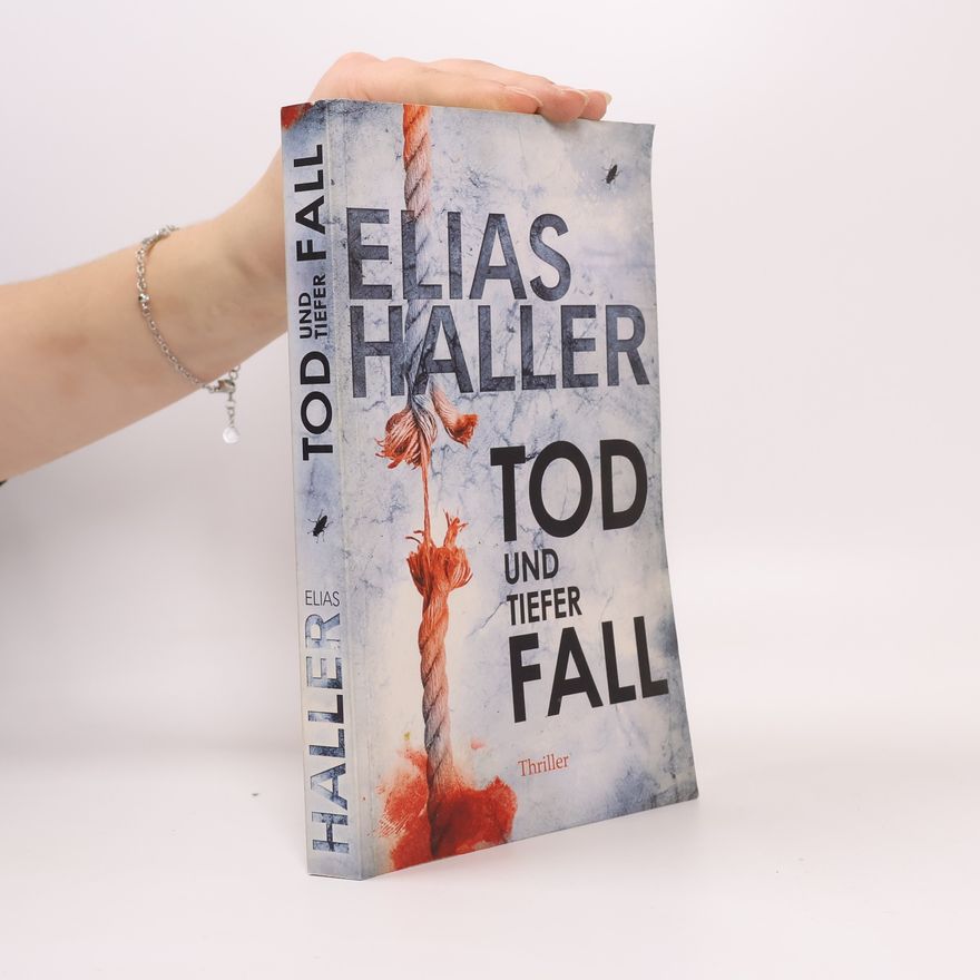 Elias Haller Tod und Tiefer Fall