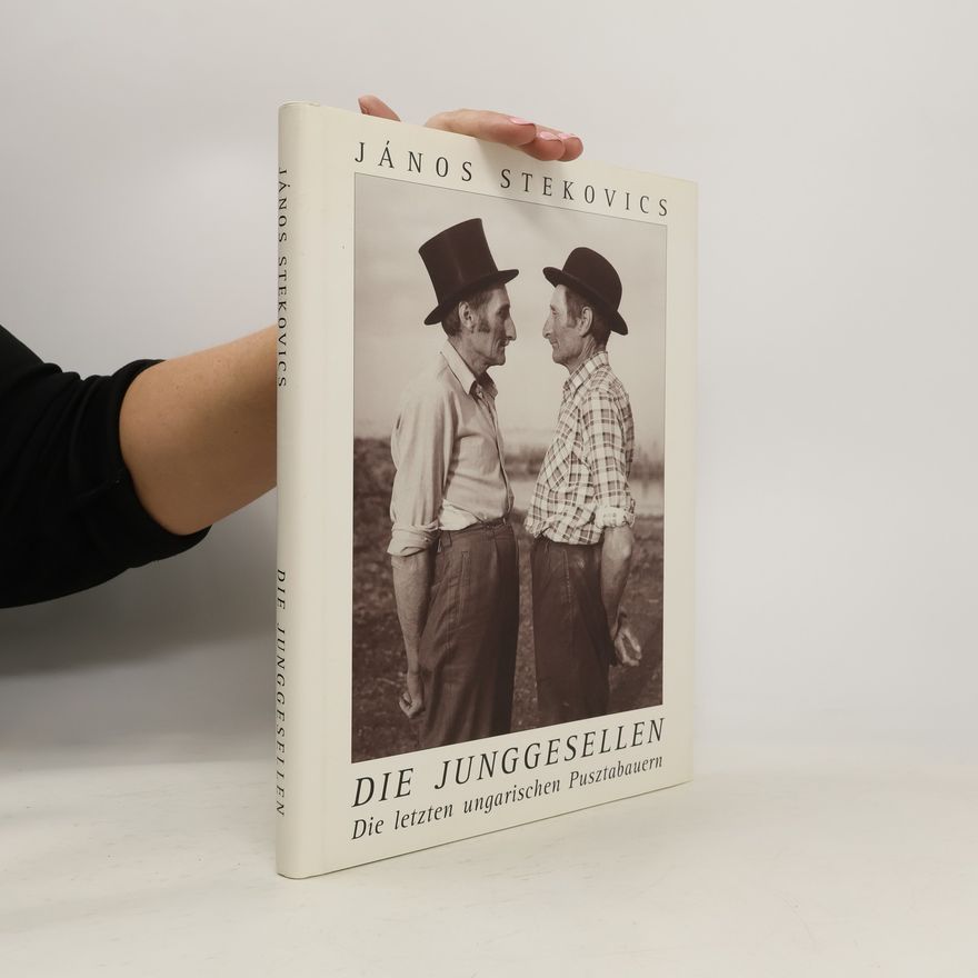 János Stekovics Die Junggesellen