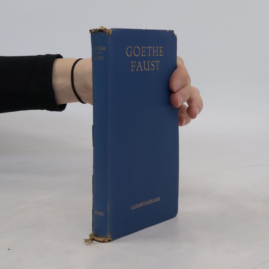 Autorenkollektiv Goethe Faust