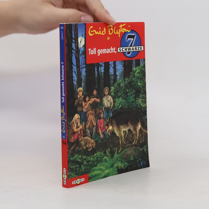 Enid Blyton Toll gemacht, Schwarze Sieben. Die Schwarze Sieben - Band 14