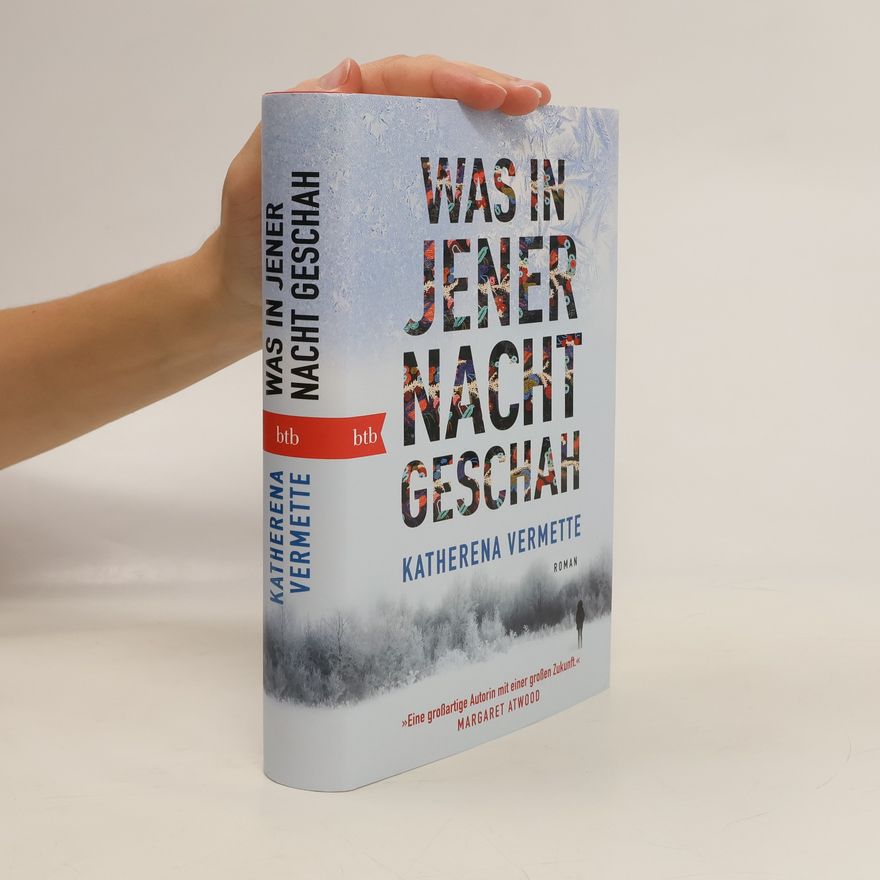 Katherena Vermette Was in jener Nacht geschah