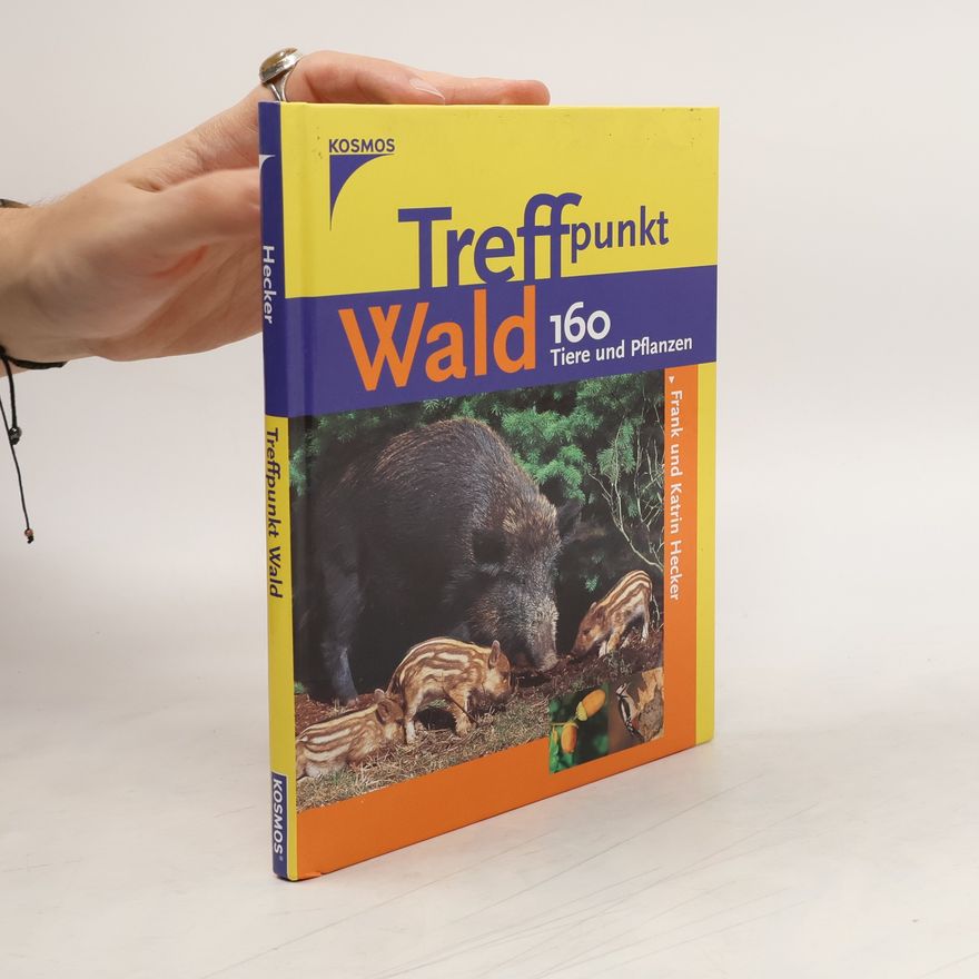 Katrin Hecker Treffpunkt Wald