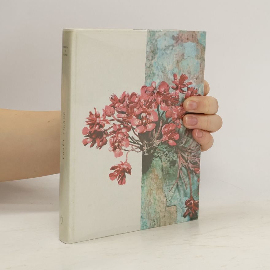 Kolektiv autorů Forêt vierge