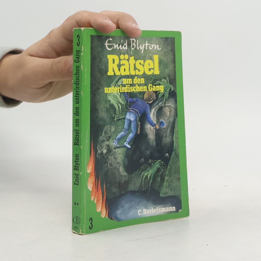 Enid Blyton Die Rätsel 3