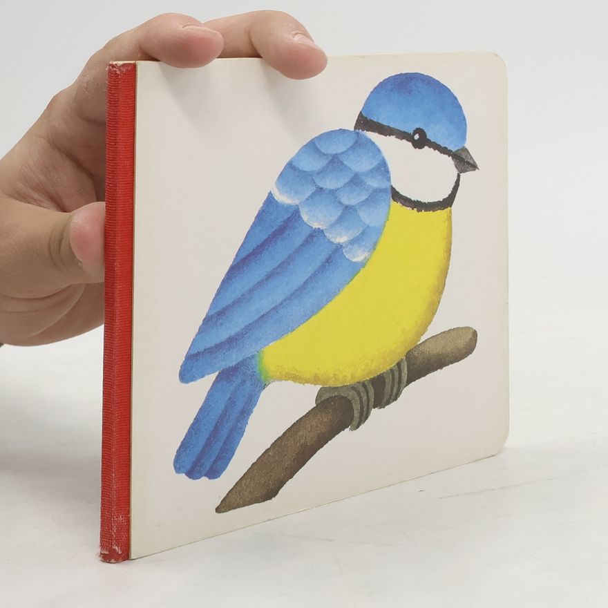 Barbara Bedrischka-Bös Board Book