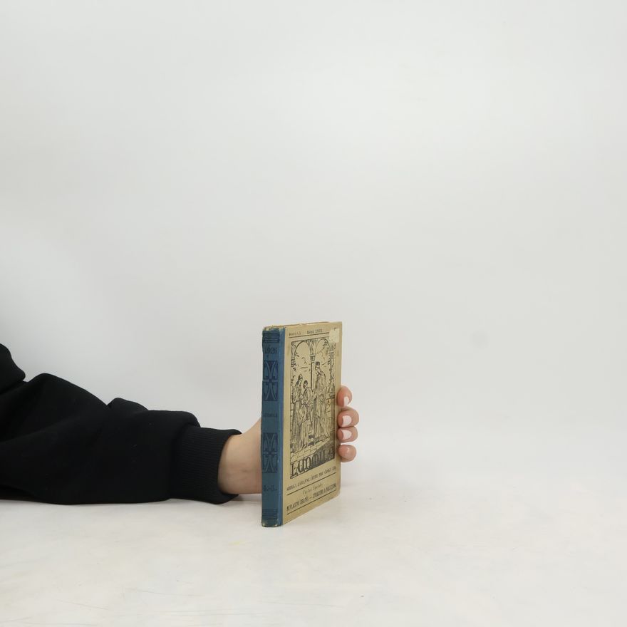 Václav Špaček Nevlastní bratři. Ztraceno a nalezeno
