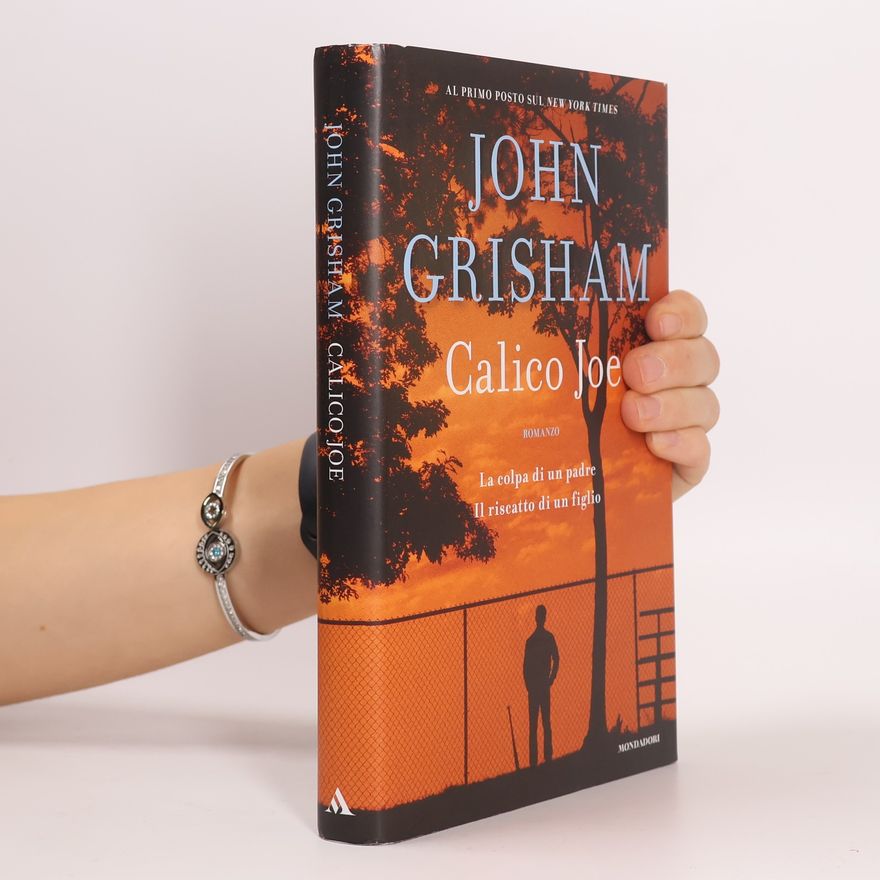 John Grisham Calico Joe
