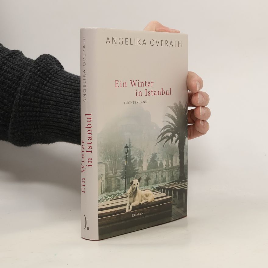 Angelika Overath Ein Winter in Istanbul