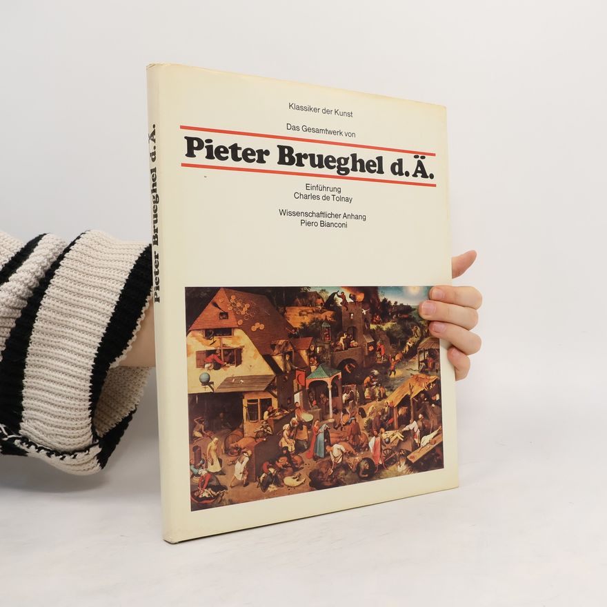 Auteurscollectief Pieter Bruegel d.Ä.