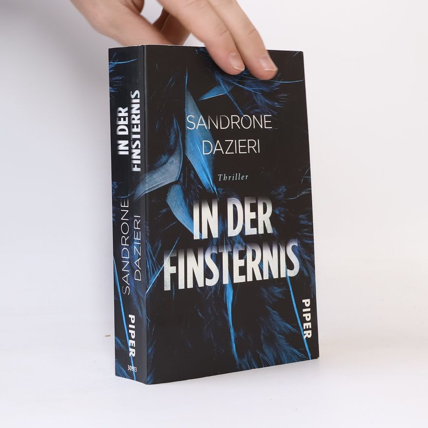 Sandrone Dazieri In der Finsternis