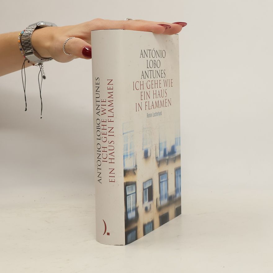 Antonio Lobo Antunes Ich gehe wie ein Haus in Flammen