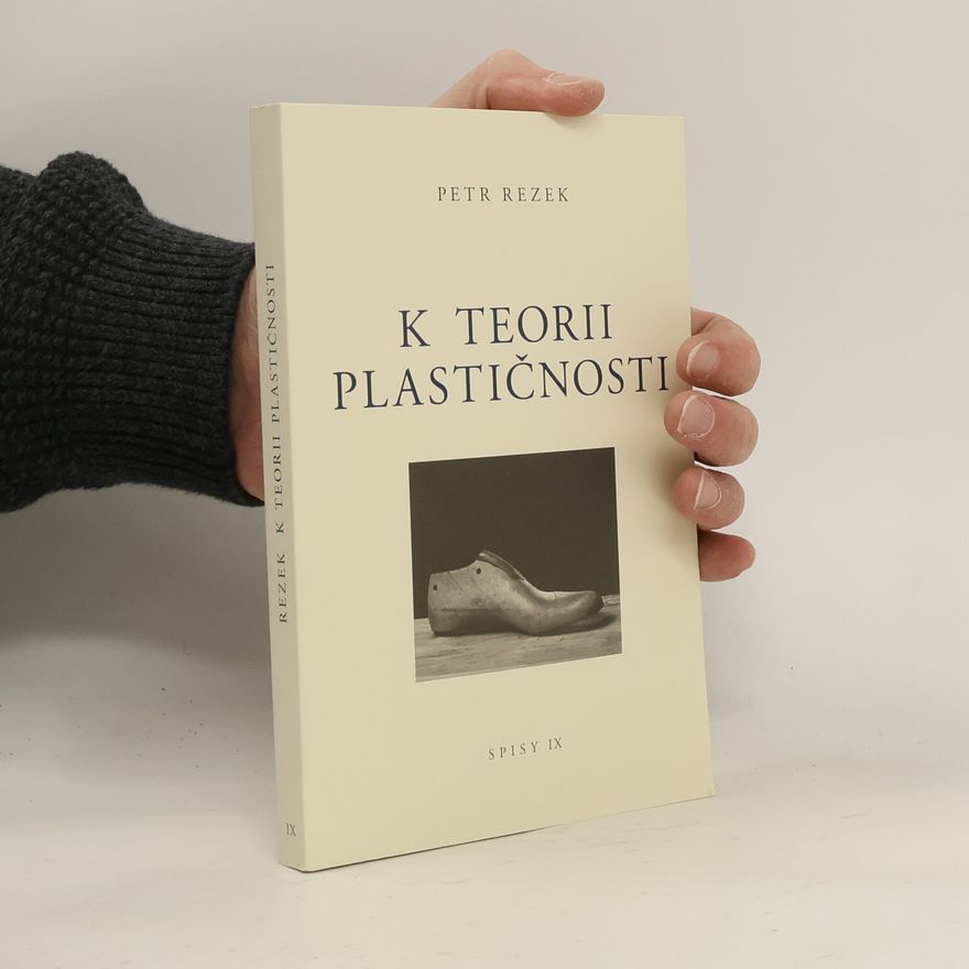 Petr Rezek K teorii plastičnosti