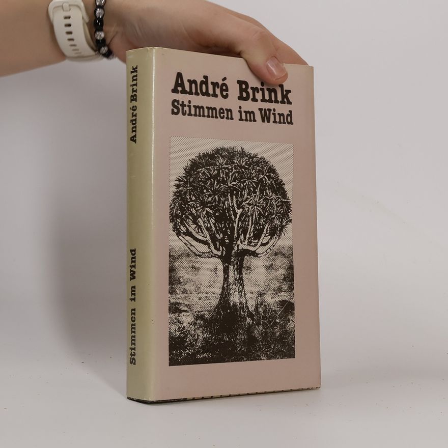 André Brink Stimmen im Wind