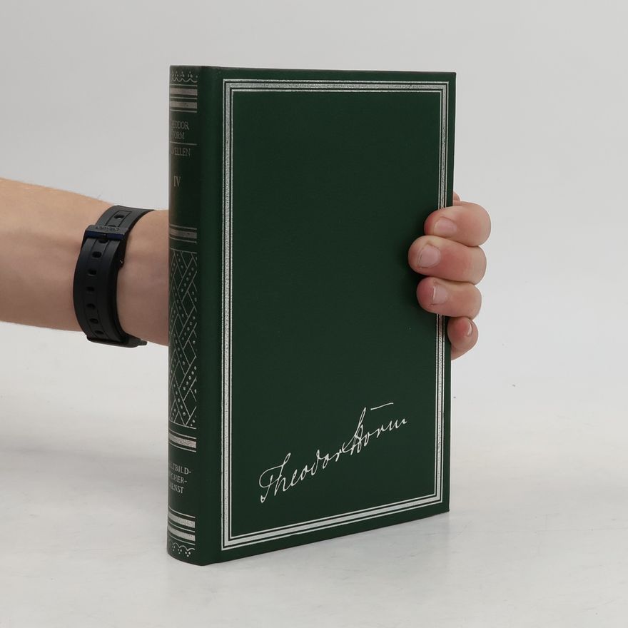 Theodor Storm Novellen IV